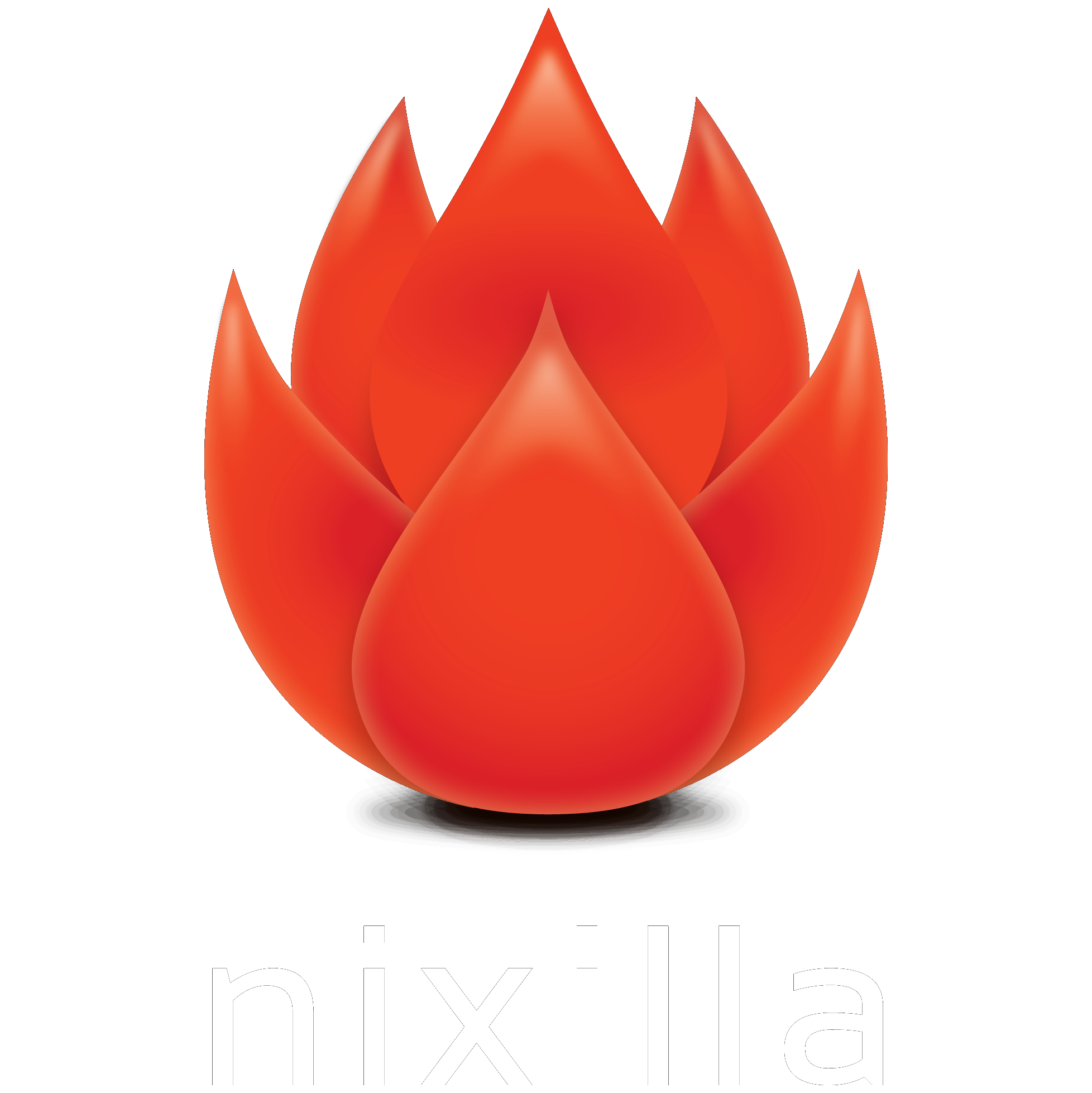 Nixilla LTD